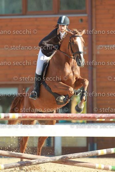 BIZZOCCHI_OH MY LADY_GIO CAV 2011_SS3_7530.jpg